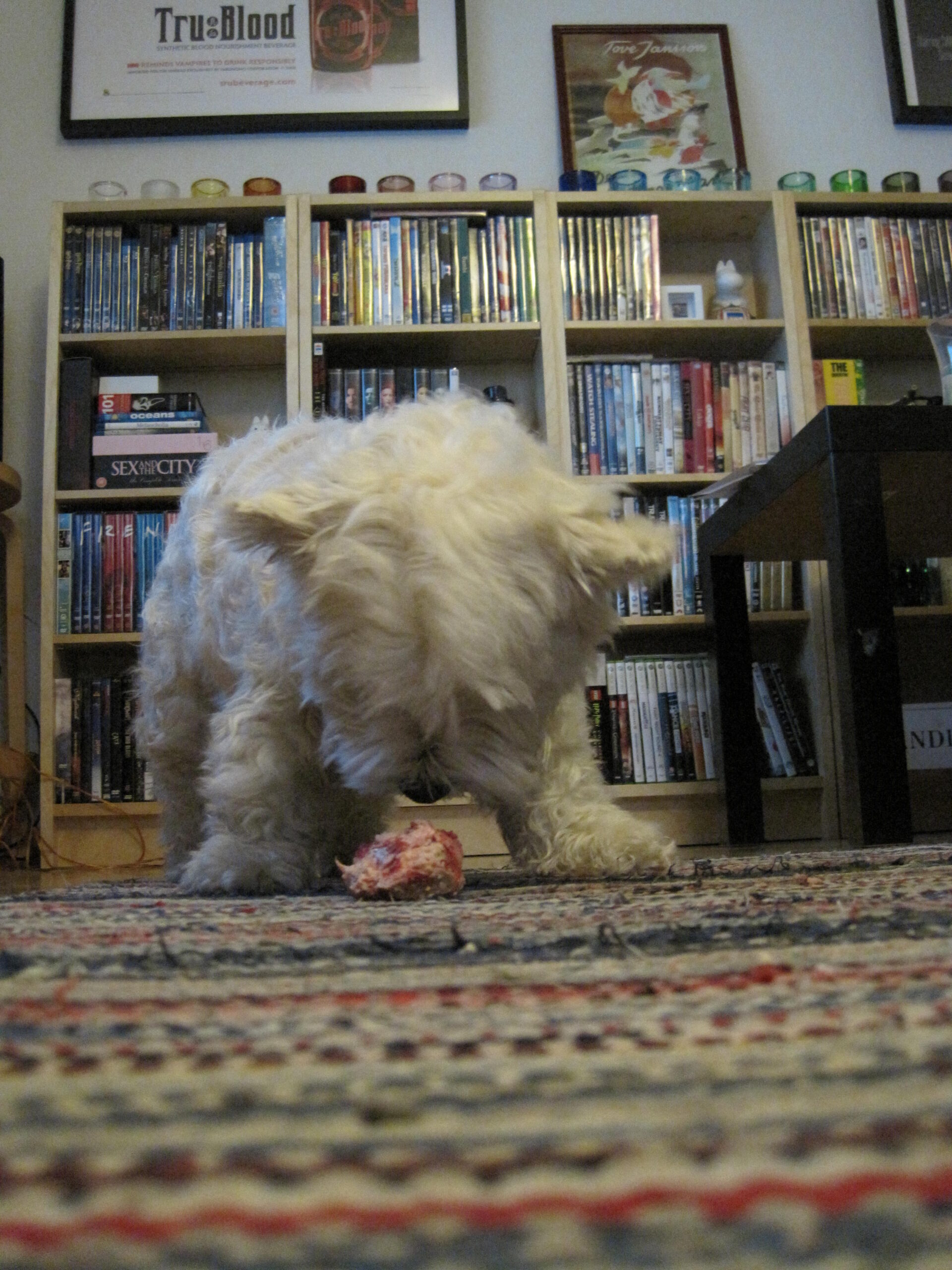2013 04 24 20.37.22 3 scaled