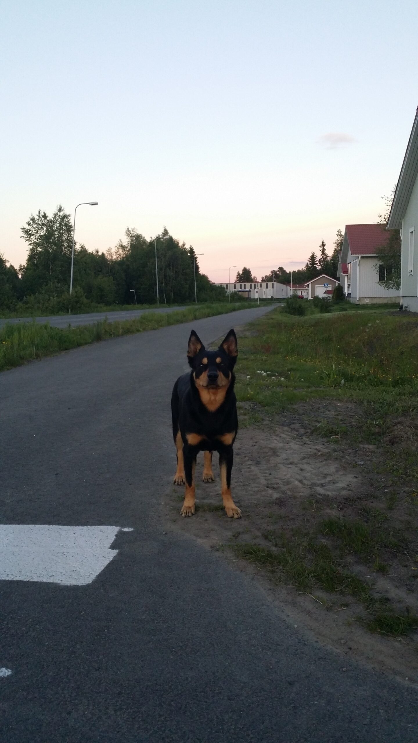 20140619 000853 0 scaled