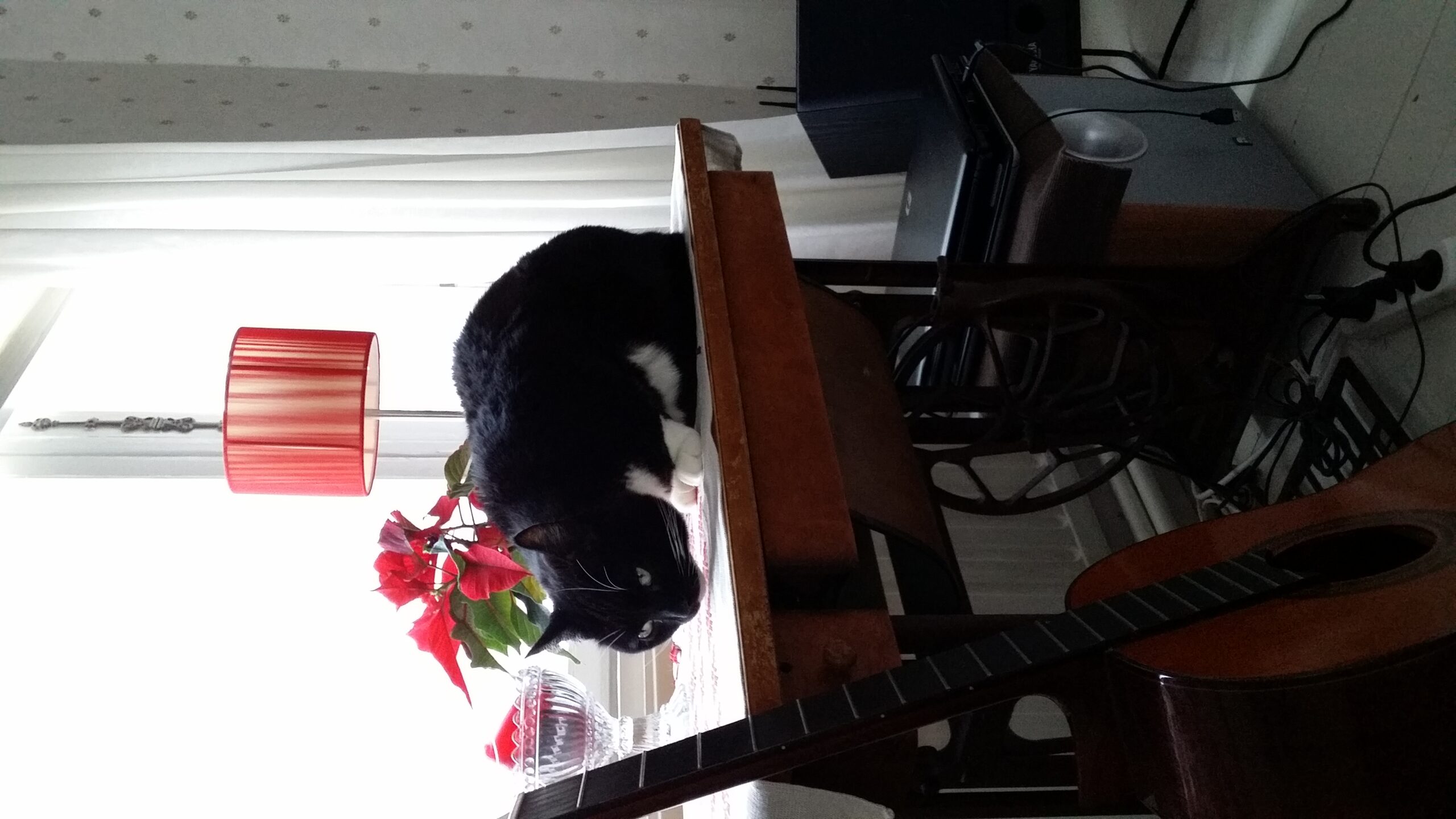 20150113 133310 0 scaled