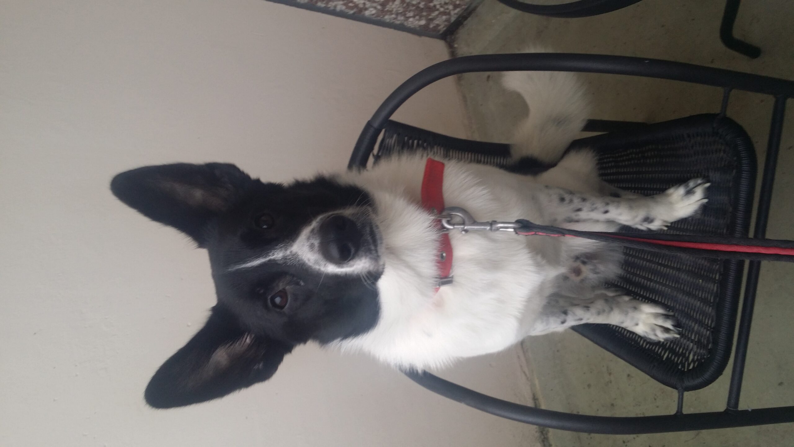 20150118 113459 scaled