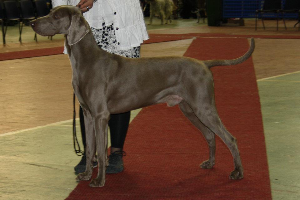 granitehill quendi l