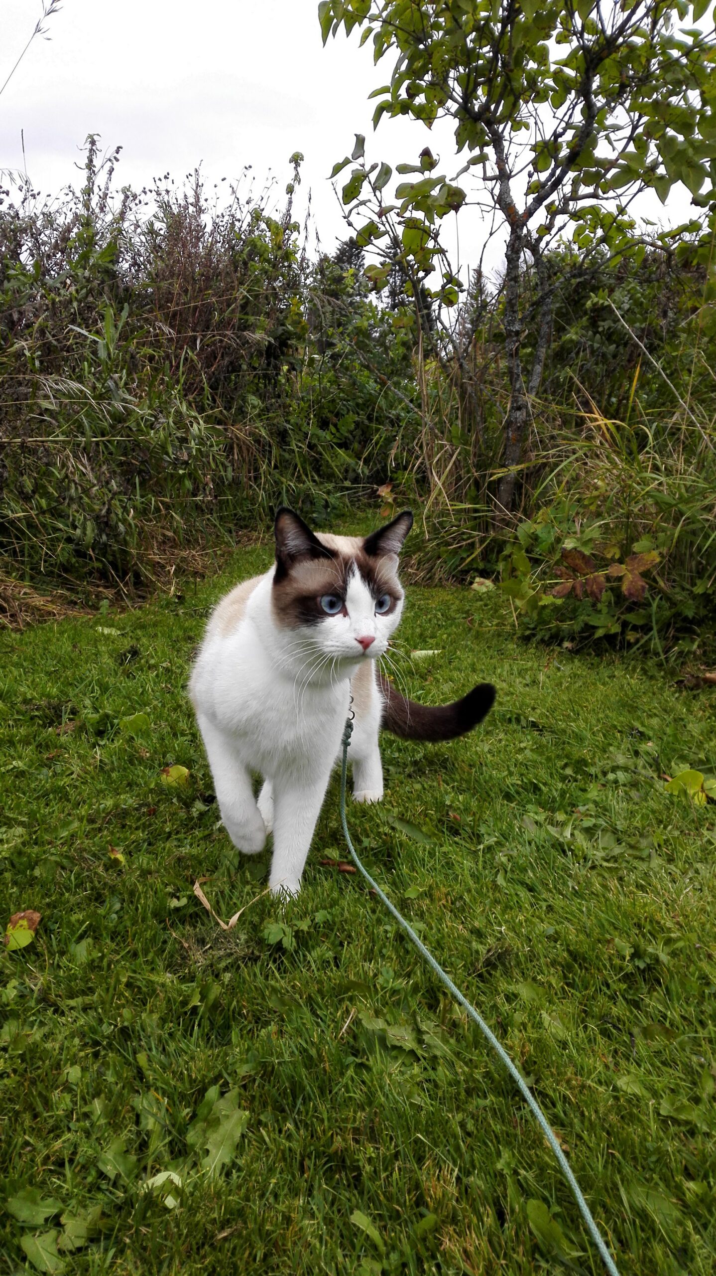 img 20161009 125354 scaled
