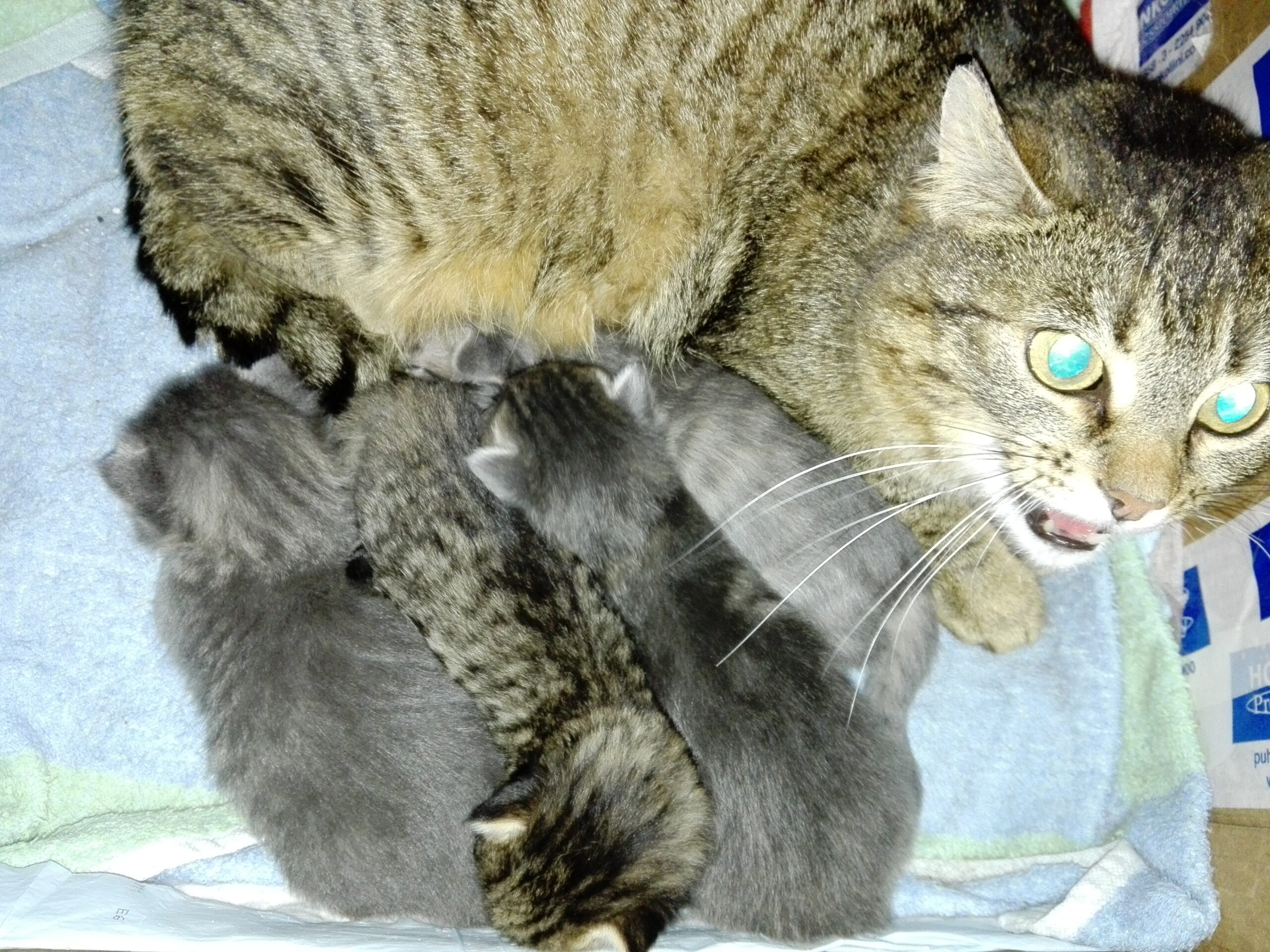 img 20170528 225527 scaled
