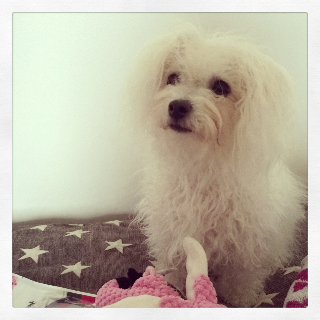 instagramcapture 03d43118 a13b 4a07 9c90 a40df73d0bbd jpg 0