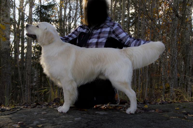 kasper