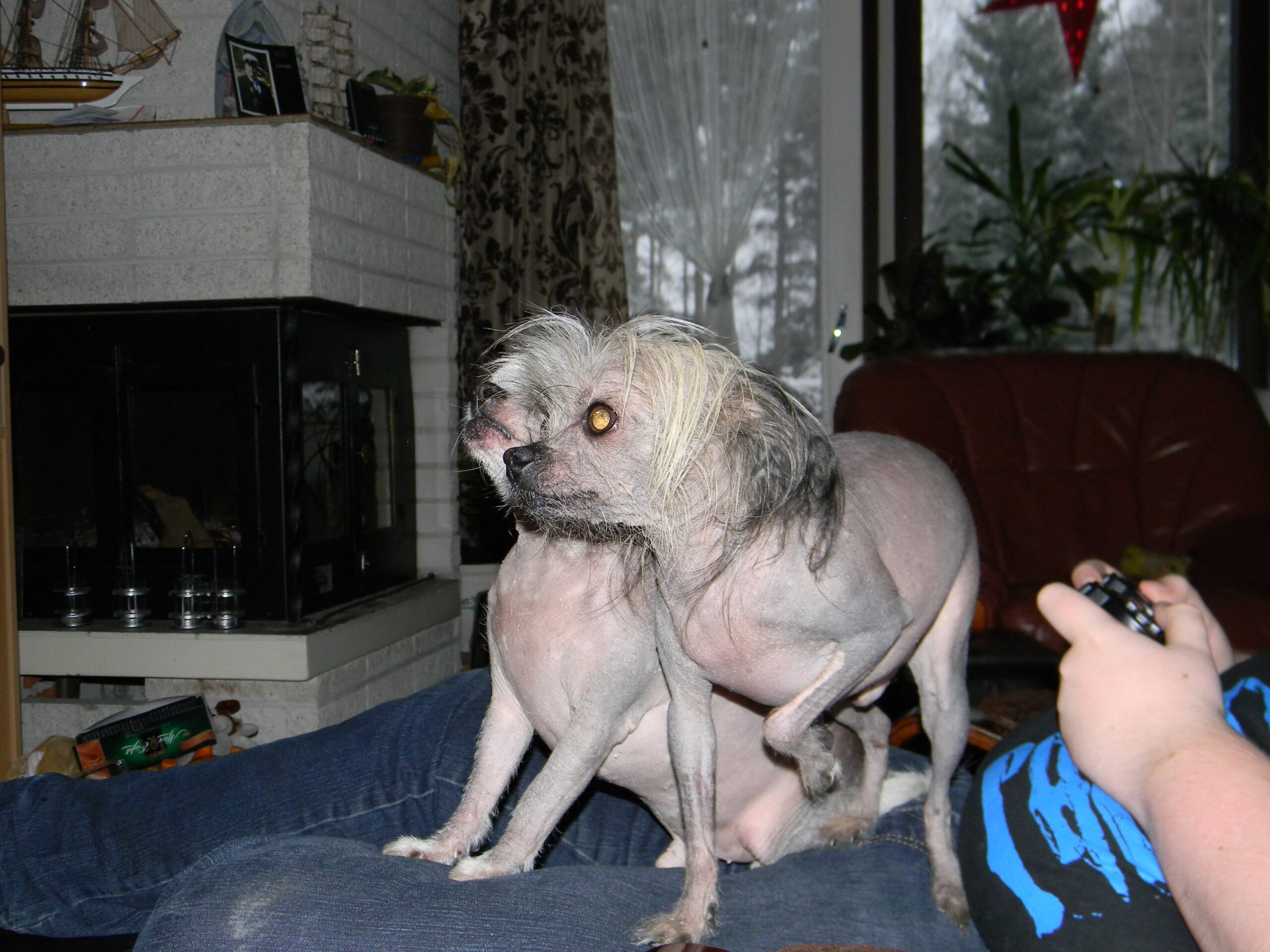 kessu scaled