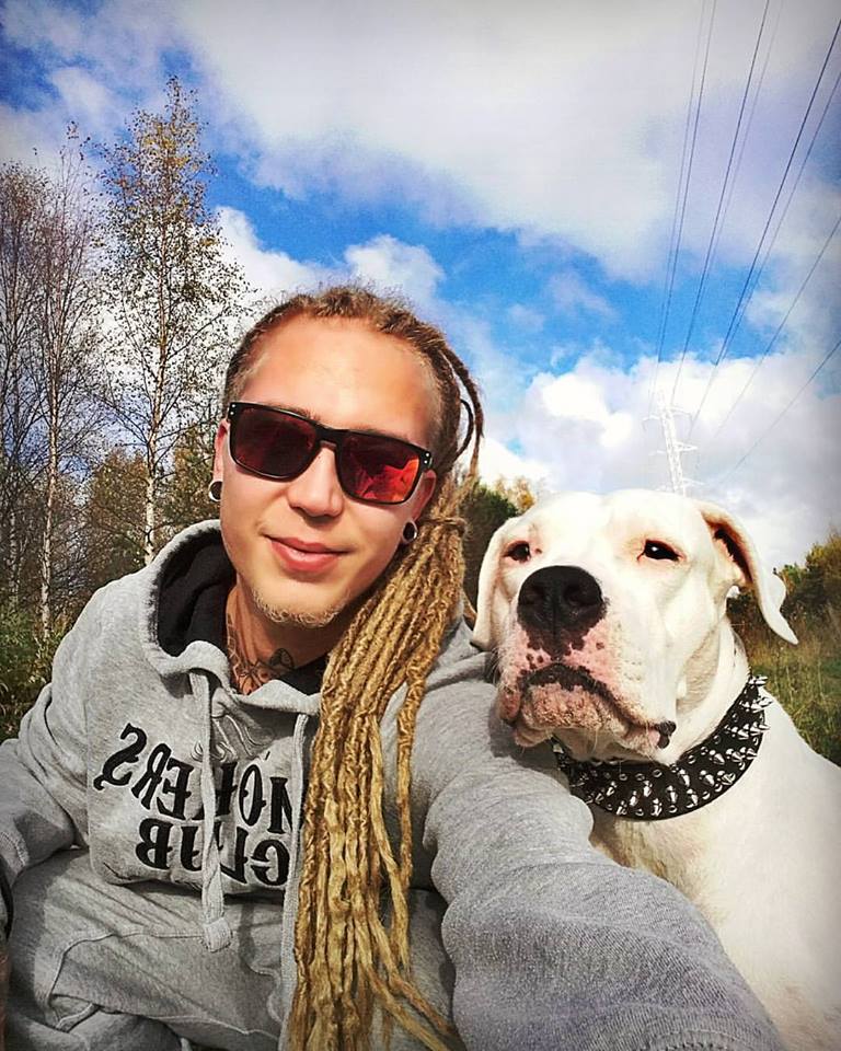 Dogo argentino