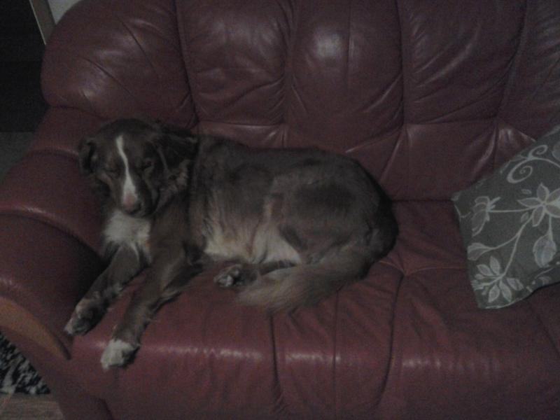 nelli 0