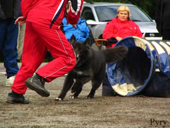 vaiski 1