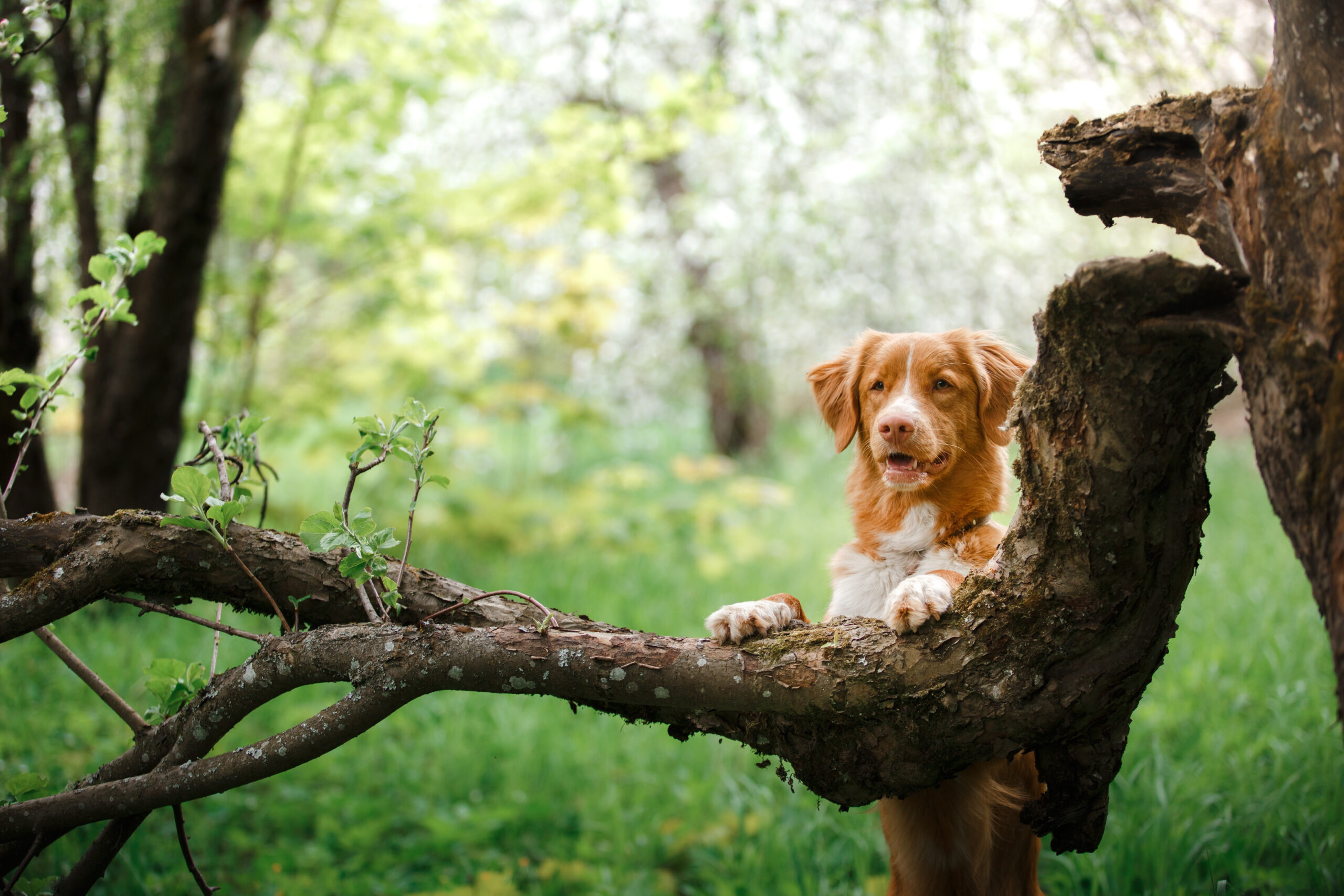 adobestock 112046550 1 scaled