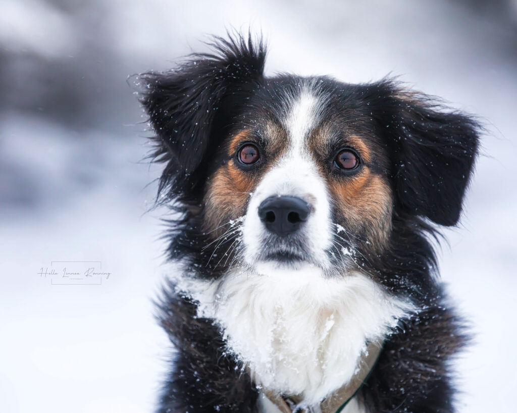 42601920 115E 42E9 8F0E 8CEE297DBAFD ce74f15a0710670fb5e09ae8157c4d67