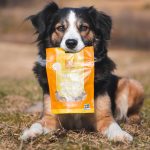 Hund som håller påse kycklinghjärtan