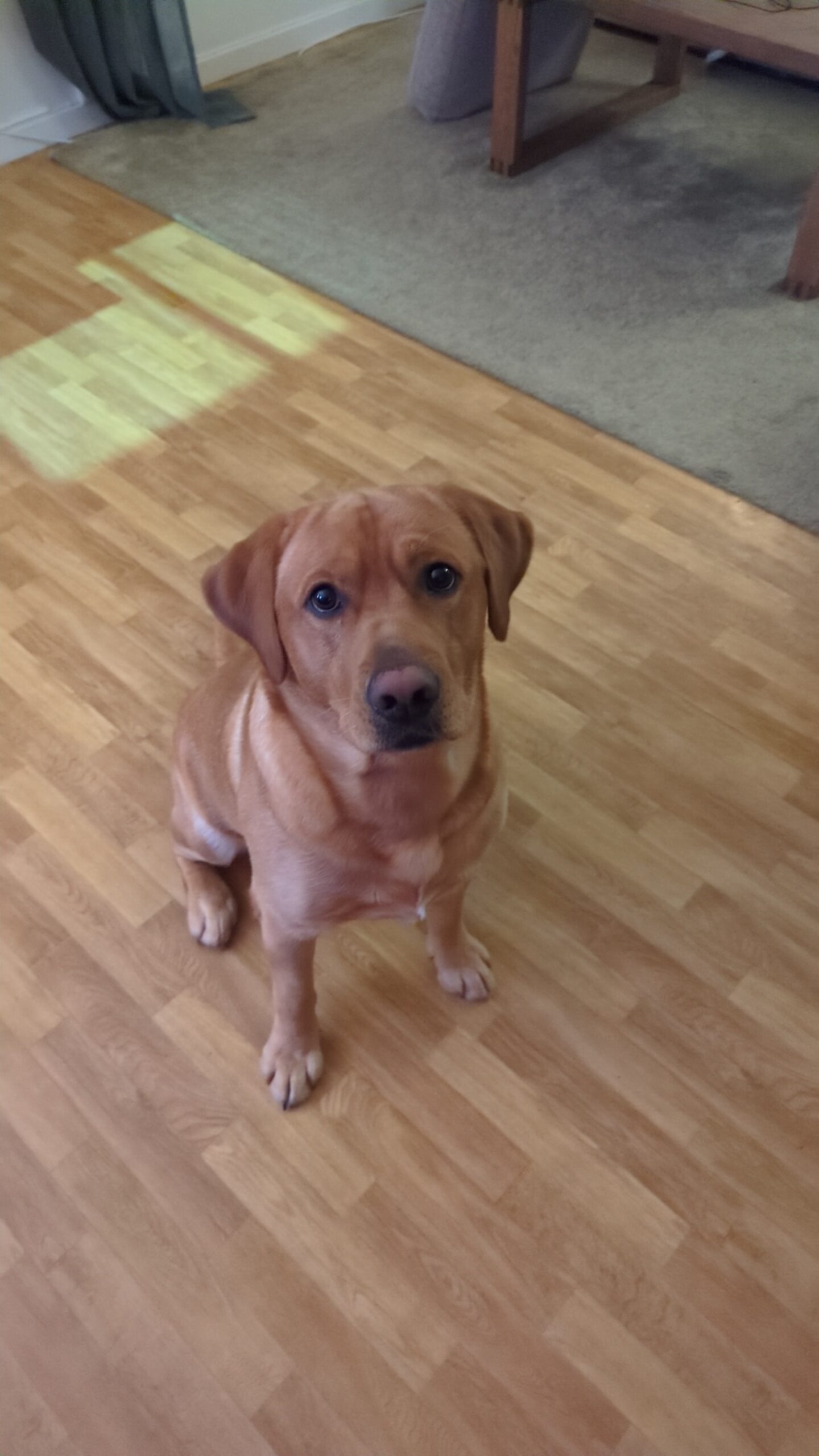 1000001272 e0425ef4b5a7dae5b1ee9439f430f05a scaled