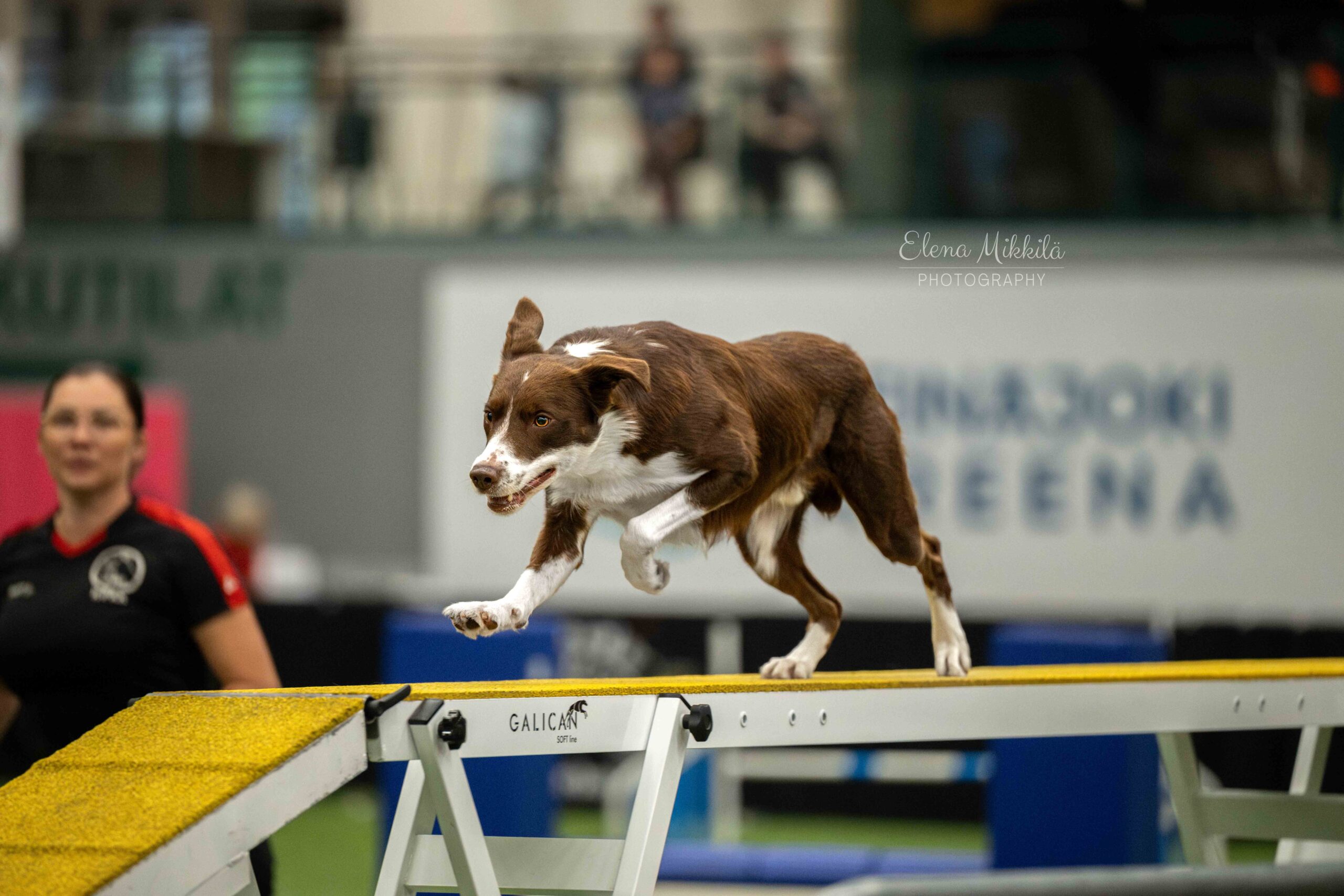 Toto 3 1000010424 1f3903c45aaad7bca1326de17abd5ea7 scaled