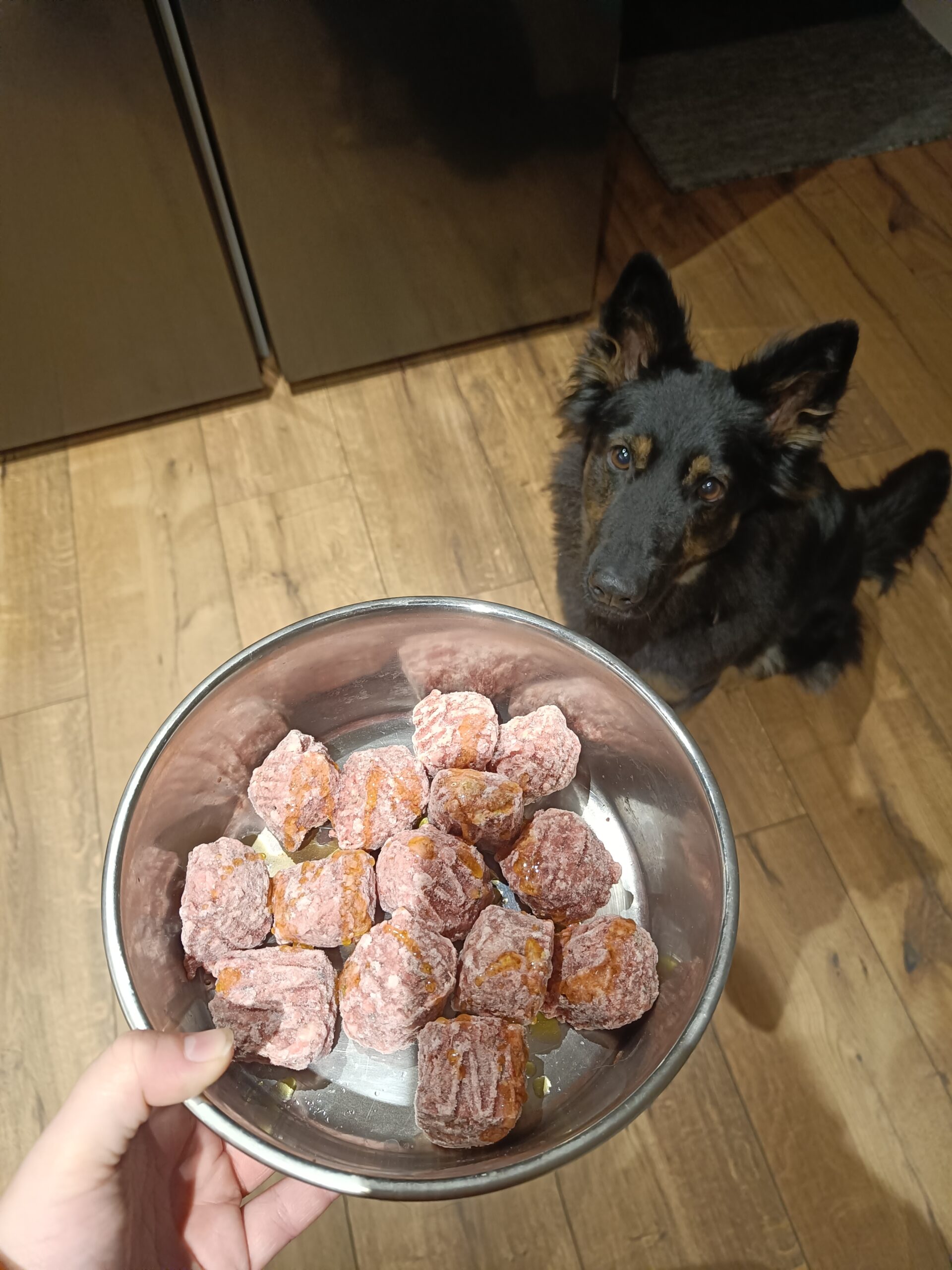 1000046648 a59b3b232b0b6672341d8d3769247bd8 scaled