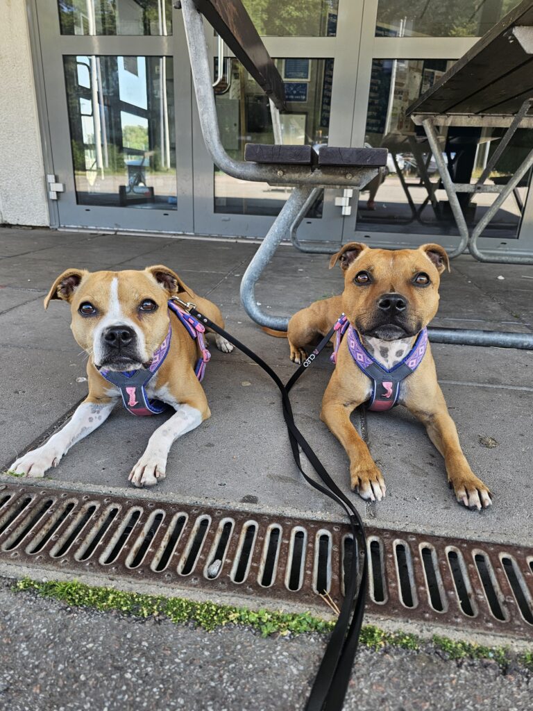 Cleo & Raya