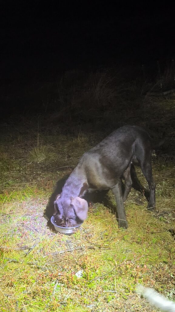 1000062375 bb1daa06bb819f9b868a1358f257efc6