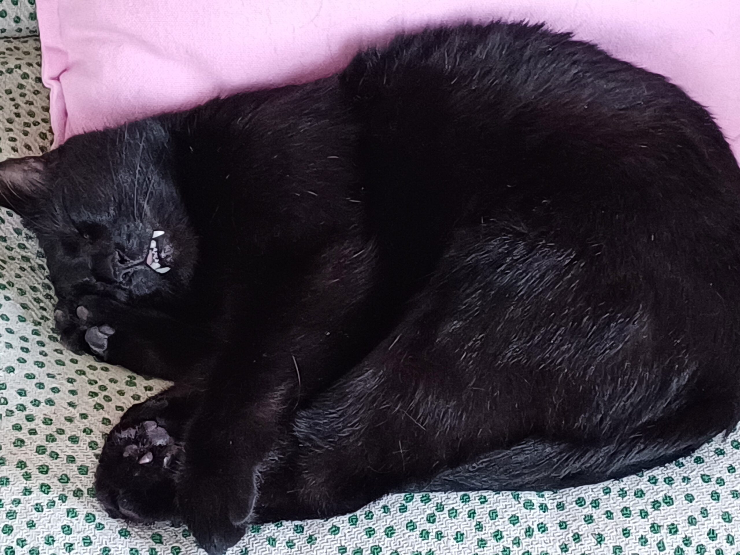 20250703 211051 86f06ef8b3a4080085d313668b68168f scaled