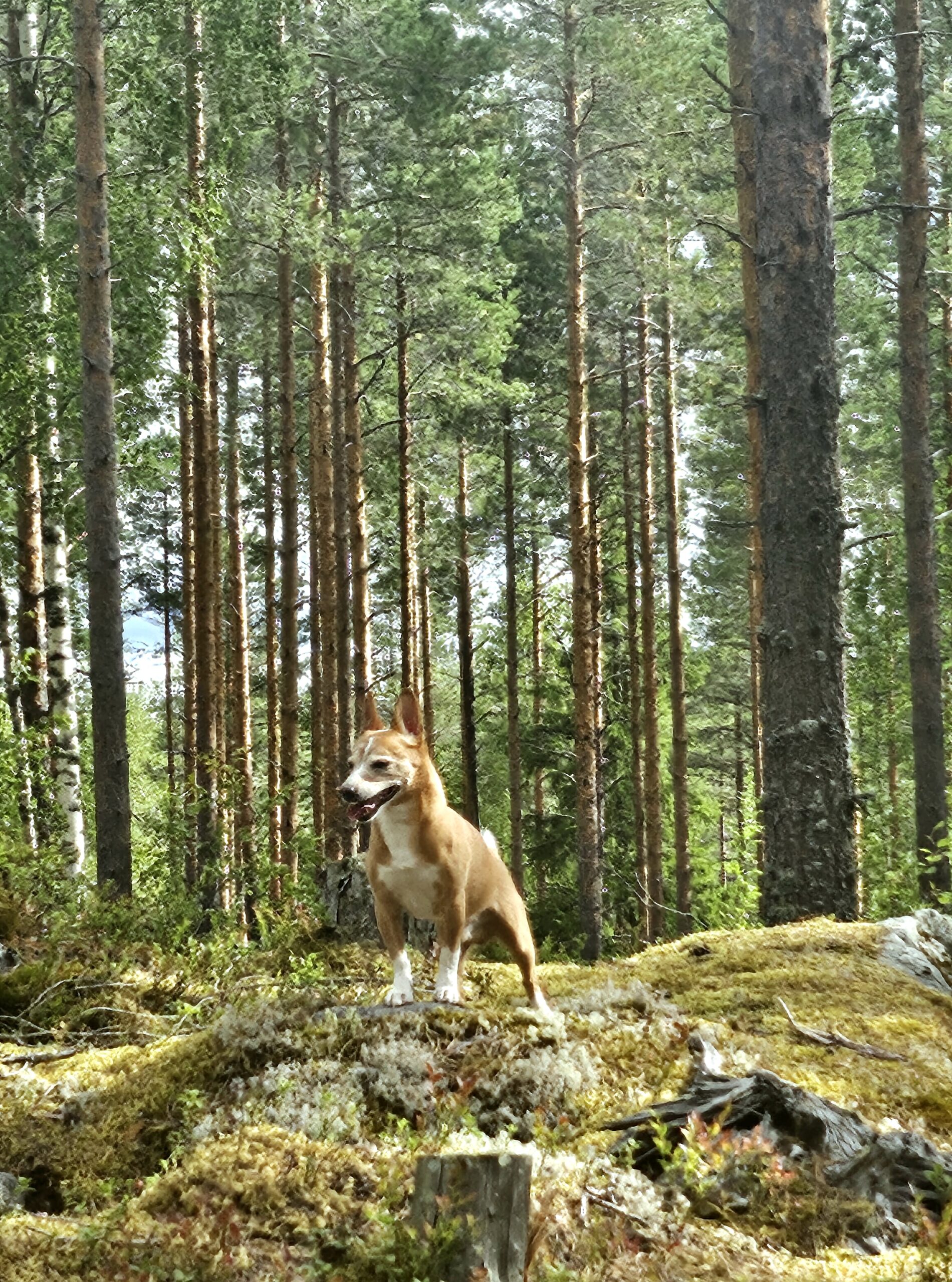 20250819 115912 68b27f3a0d9987a080c1c0a15b9b9ff3 scaled