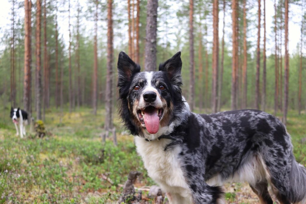 70758 54ace193a4ba71ece031efa13a43ed5d