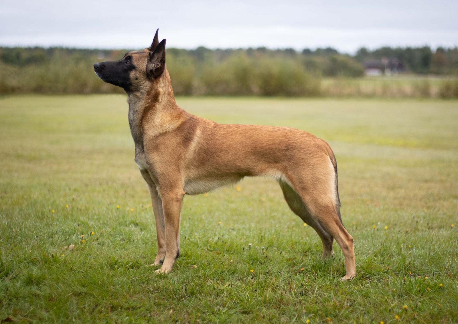 77c38b29 3281 4a36 a12a d5af8da1c780 8b1c1b7b3617f124bbe2d664e407df91