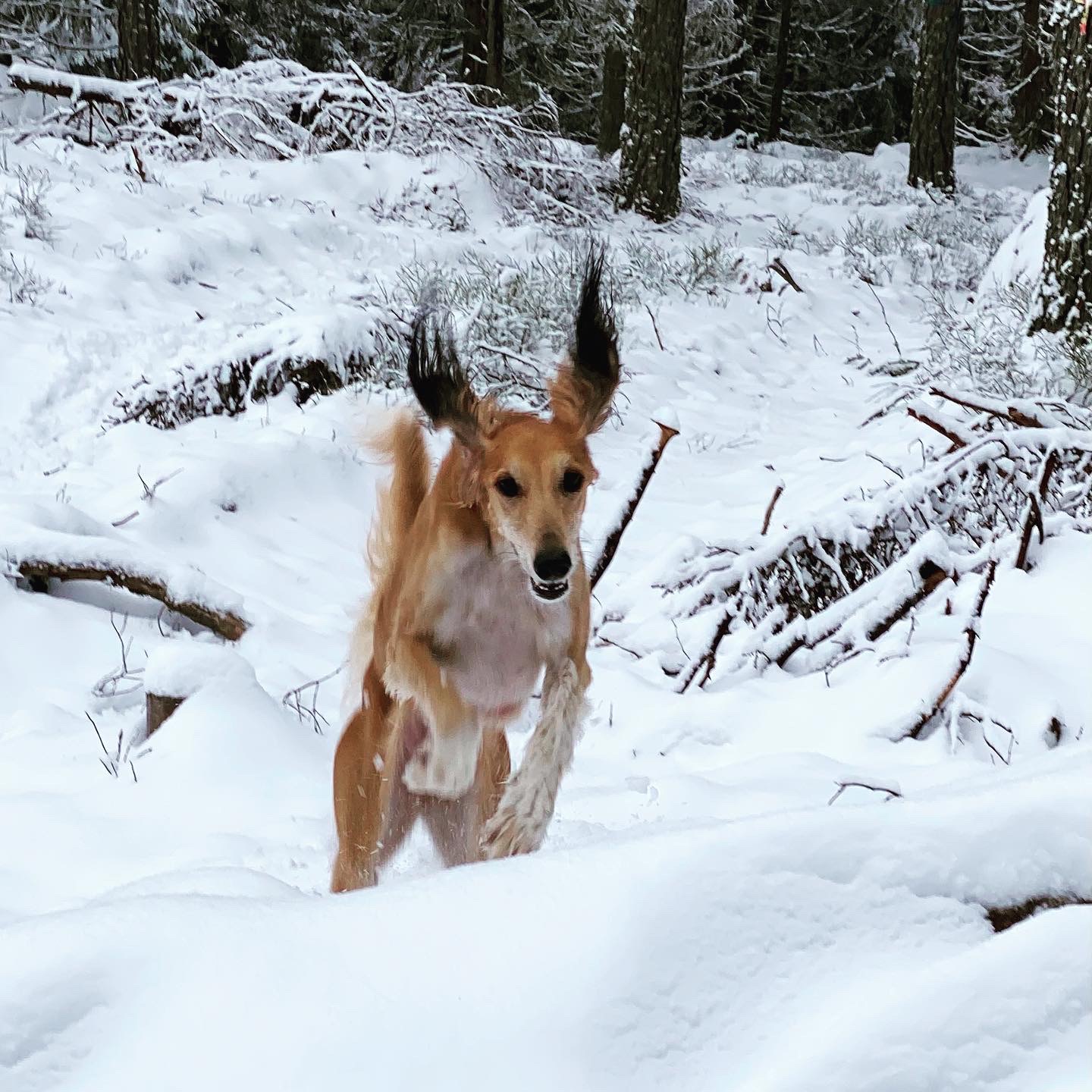 84EE9FD9 346C 42A2 B4F8 568C45862B96 91af9293c21506b817e034e8e418ac04