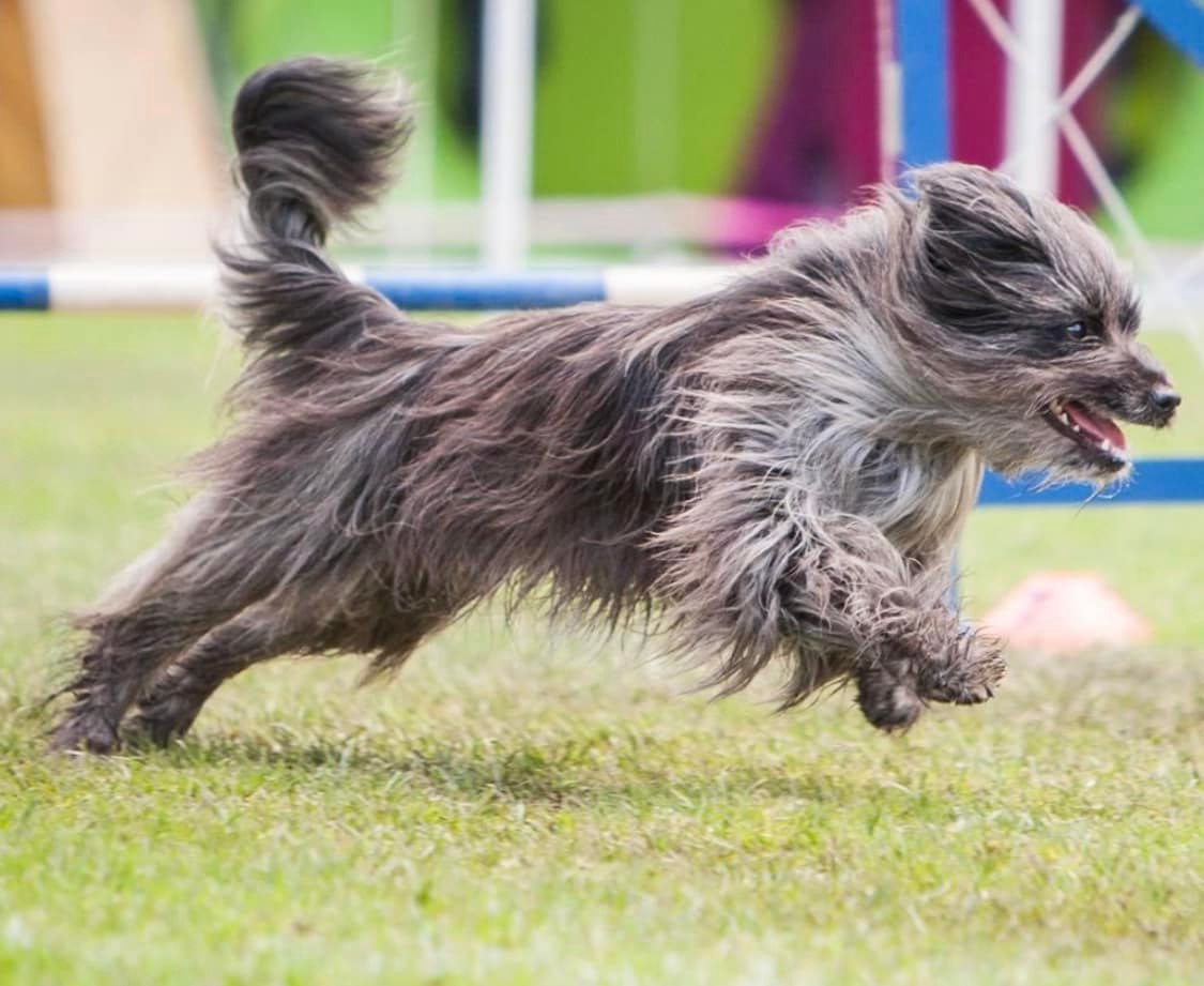 Brie christel ad5313aa5bdc5fc1cf9f16f200ee725e