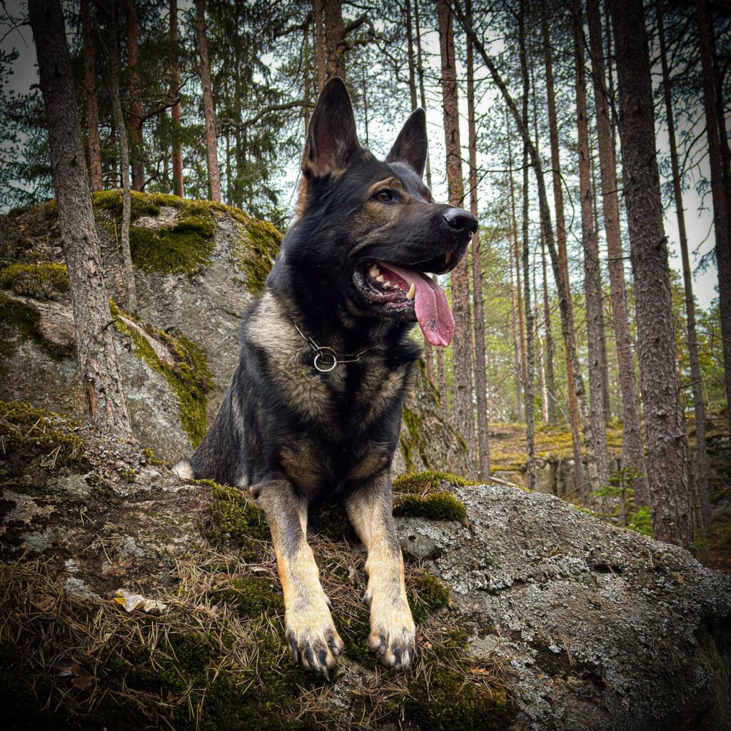 IMG 20251031 WA0007 3d0e0f17fb011fba113f3c061bb52609