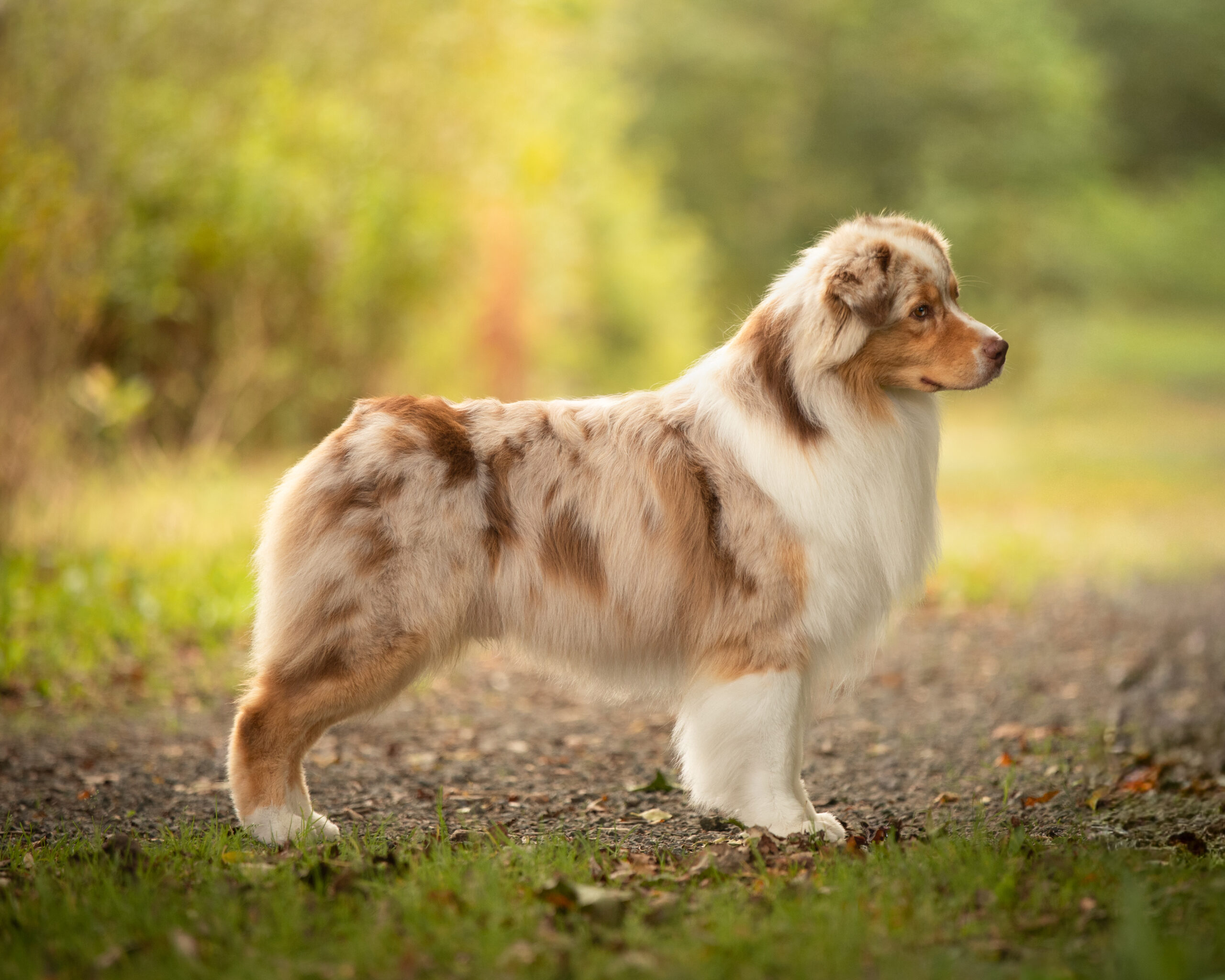 IMG 1265 32b660291a6846f4eeb808e2ebf3c894 scaled