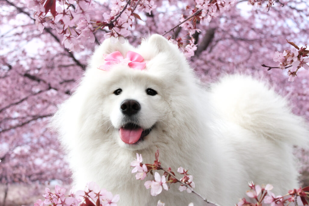 IMG 1593 81fb37cb09bb35f40b47135ec6a700a6