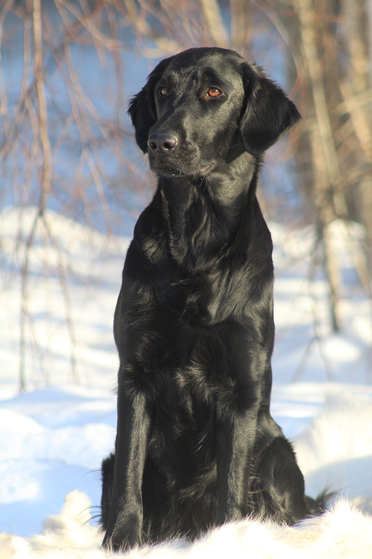 IMG 5366 768f8ab9711d87c9fd210df110154947 rotated