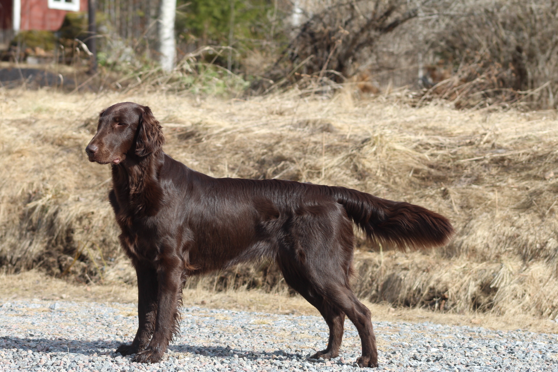 IMG 5988 9474a00ecb148456c15fb4584996a124