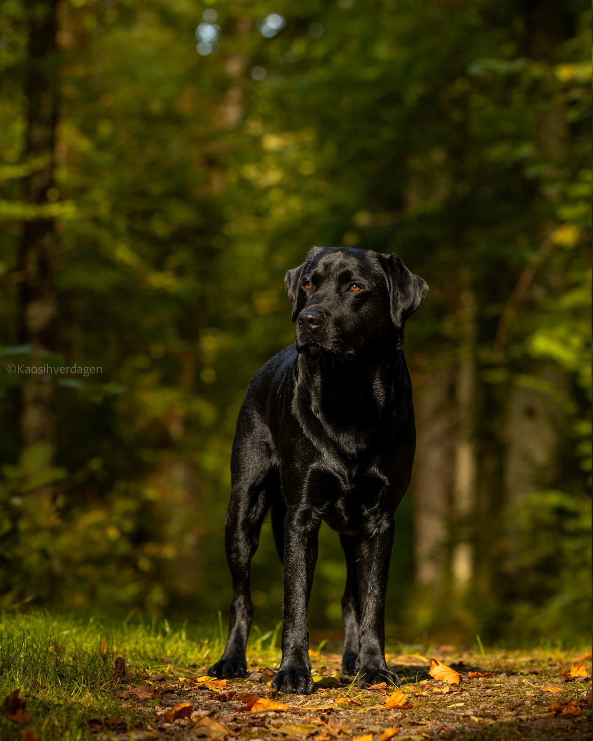 IMG 6760 208d28e2c9db8dd1484d7c8c275a17c5 scaled