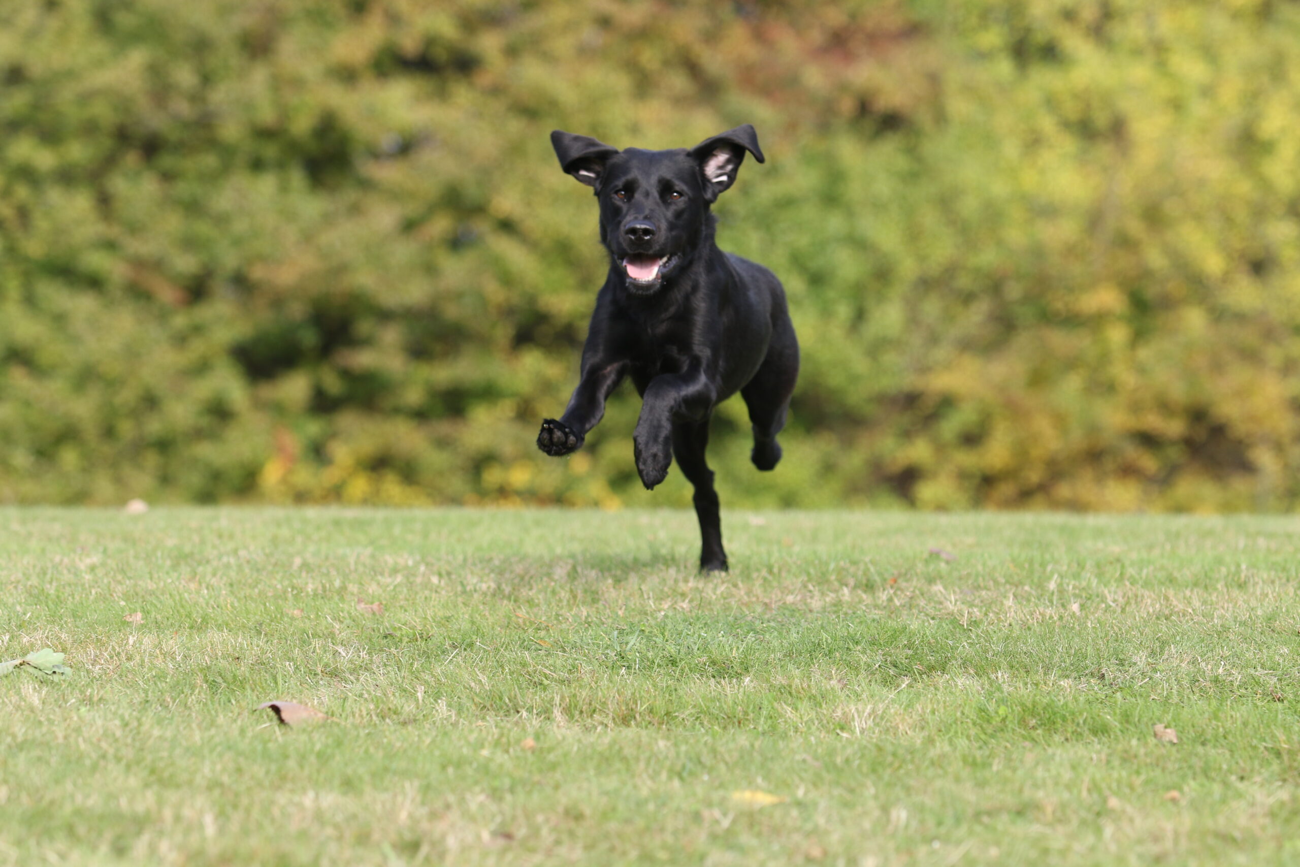 IMG 7013 150a374bff5ef9215605237118fa139a scaled