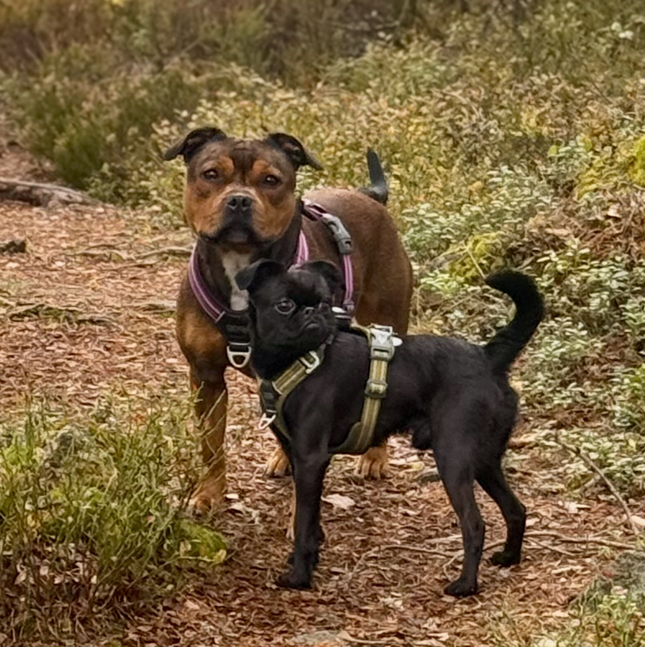 IMG 7745 c46904df537eda5a61a8eb275fce35e6