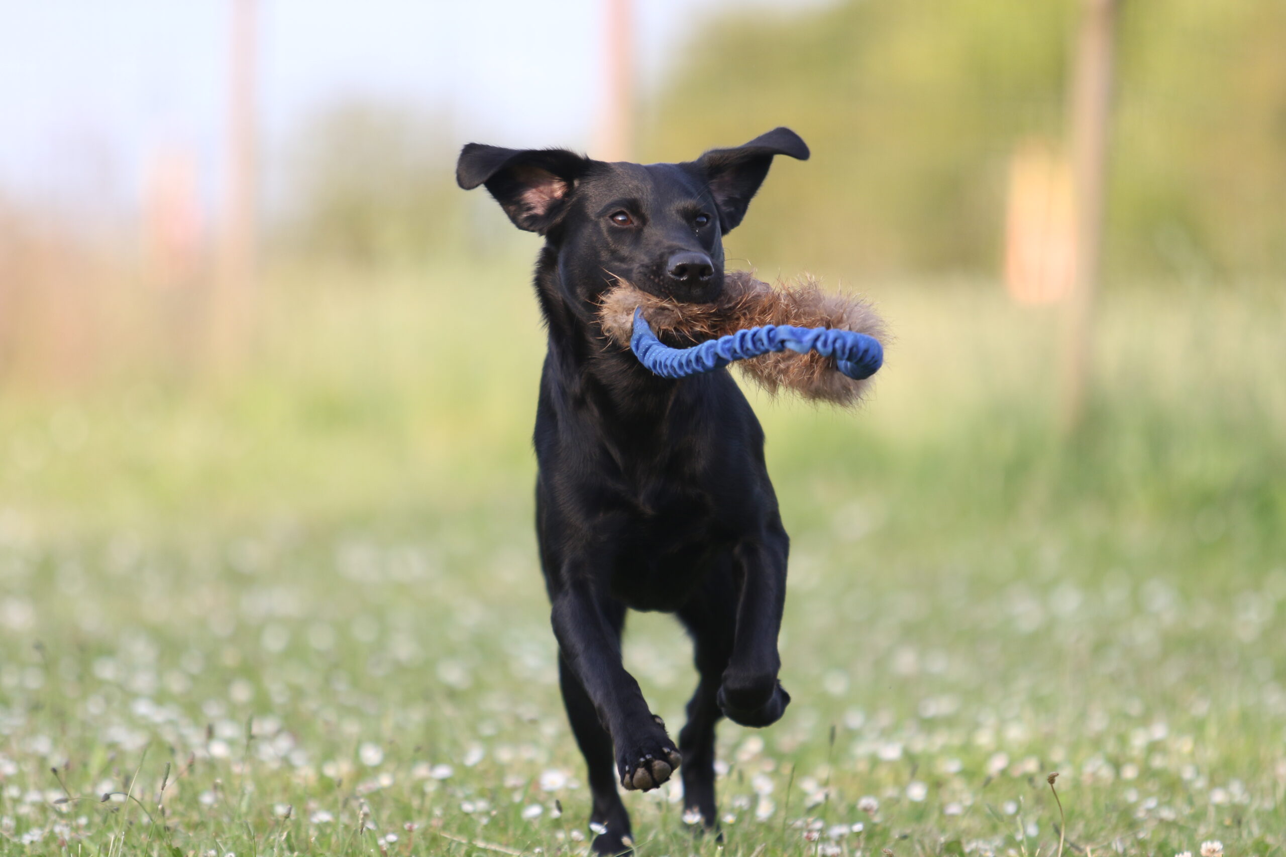 IMG 8116 7dc254f3c303cb503c7cc63fbdc14c3d scaled