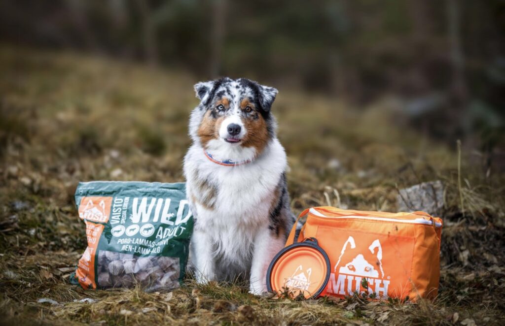 Skye MUSH 1 e98df0daf31c4ee1dabb2ce77bf6dbaf