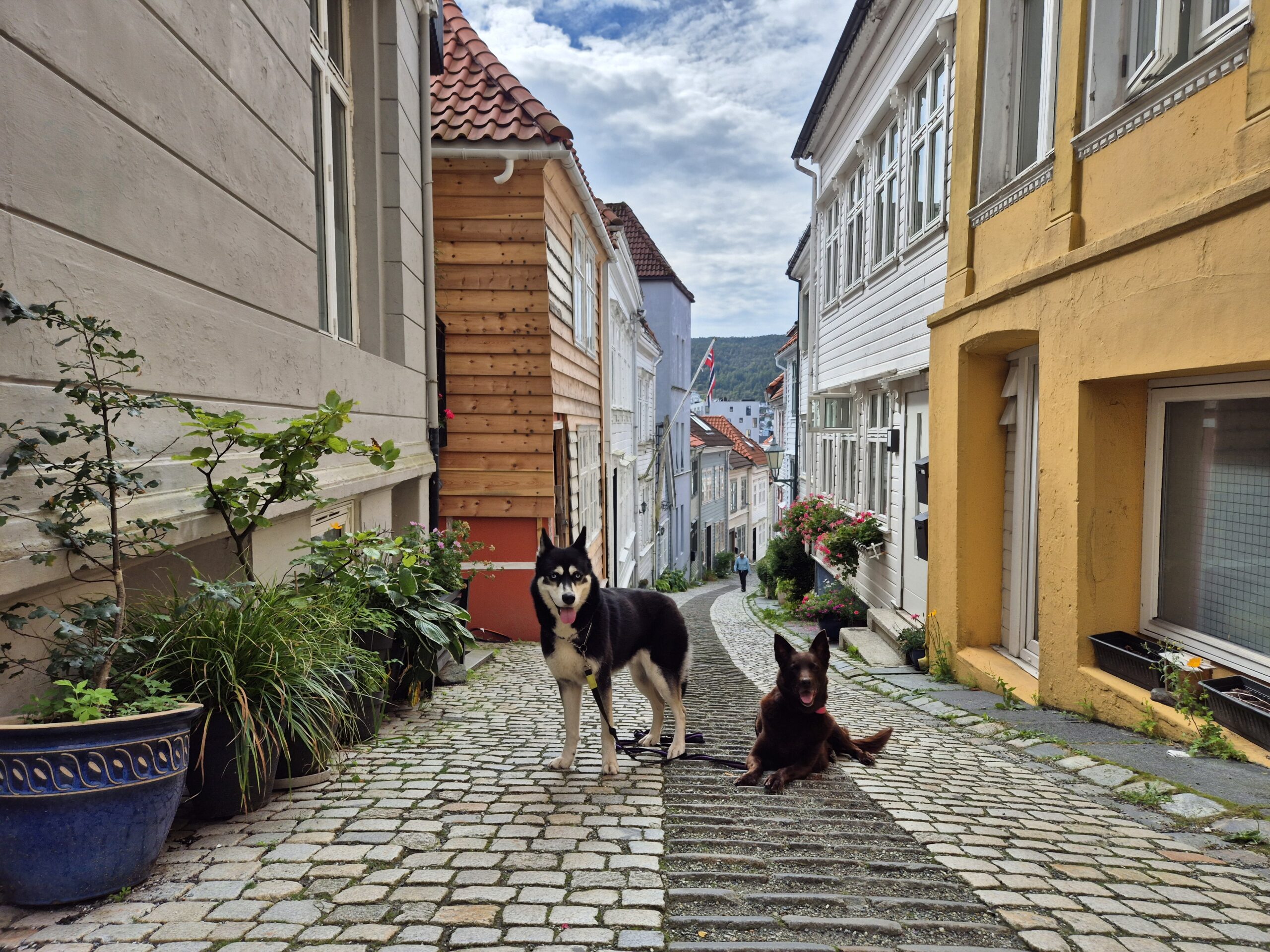 inbound3185865235579450701 986fe00e14c35fc1ad6ea59b788b080a scaled