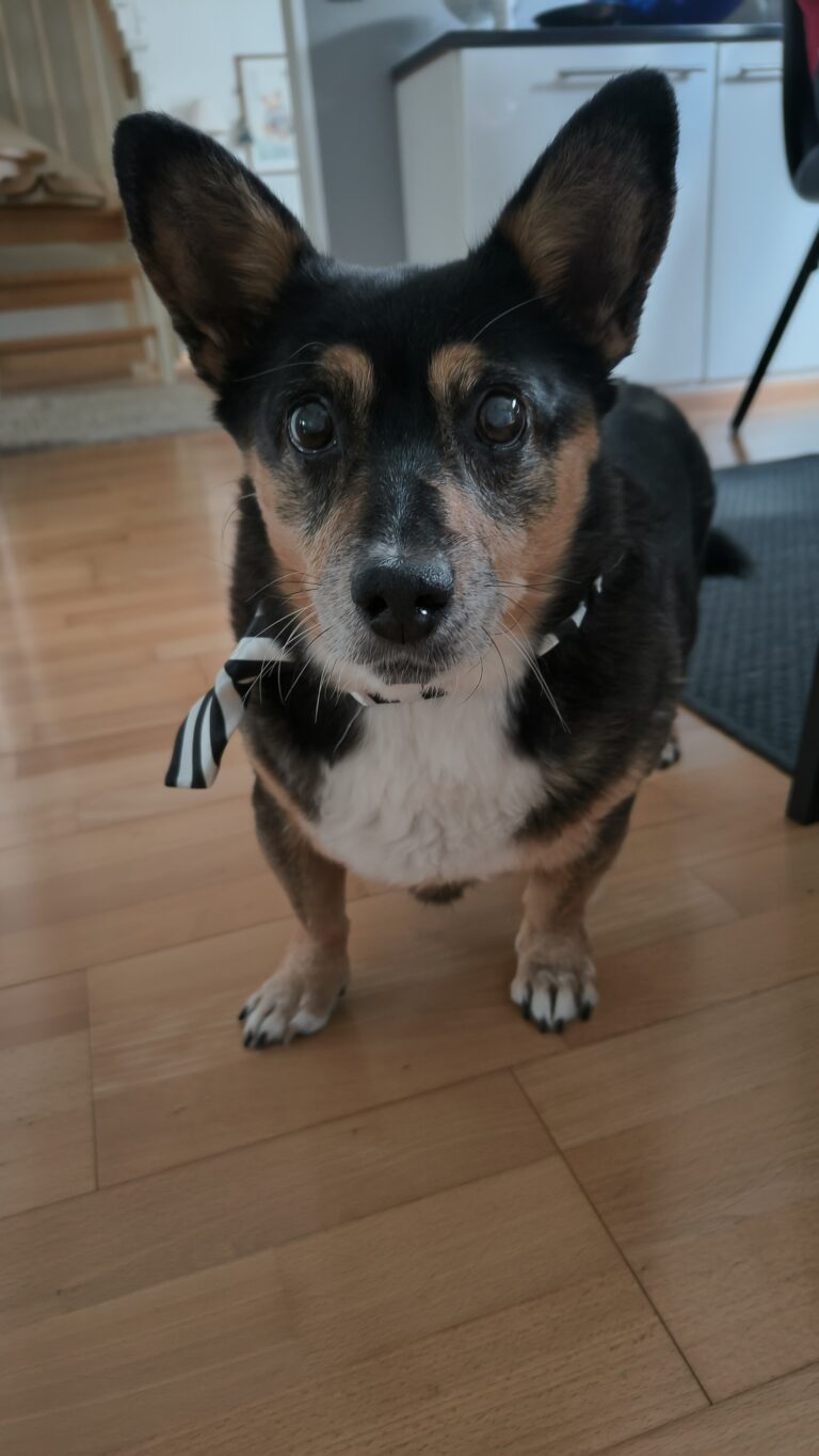 Eino