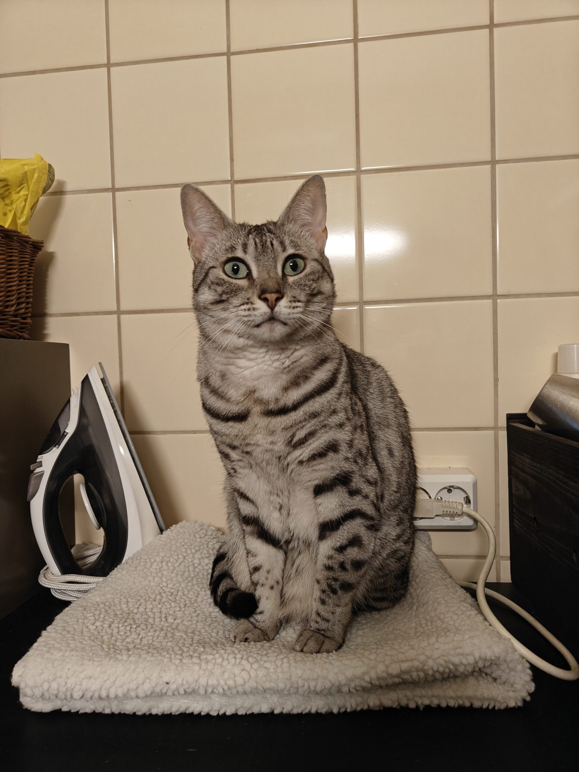 inbound6825505124814306886 1a04012482b8f23d792ff03a69a447ab scaled