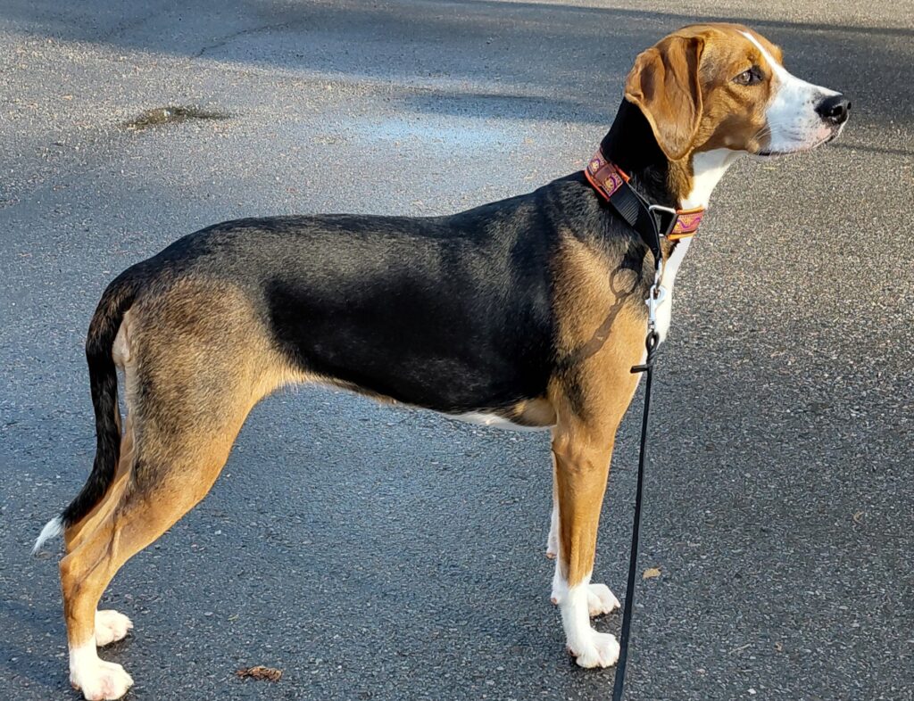 Hera 18 inbound685372662793273168 a237b79c1cd0f54519d9282dfa19ae3d