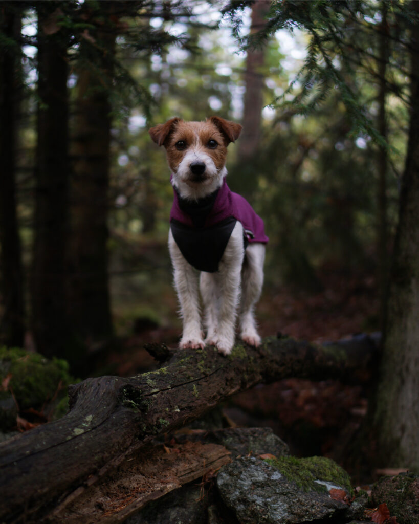 04C5DFA7 50C1 48DB B495 E07CFE563971 eb3cf5e12ef9ef5ea3da98b055c1e202