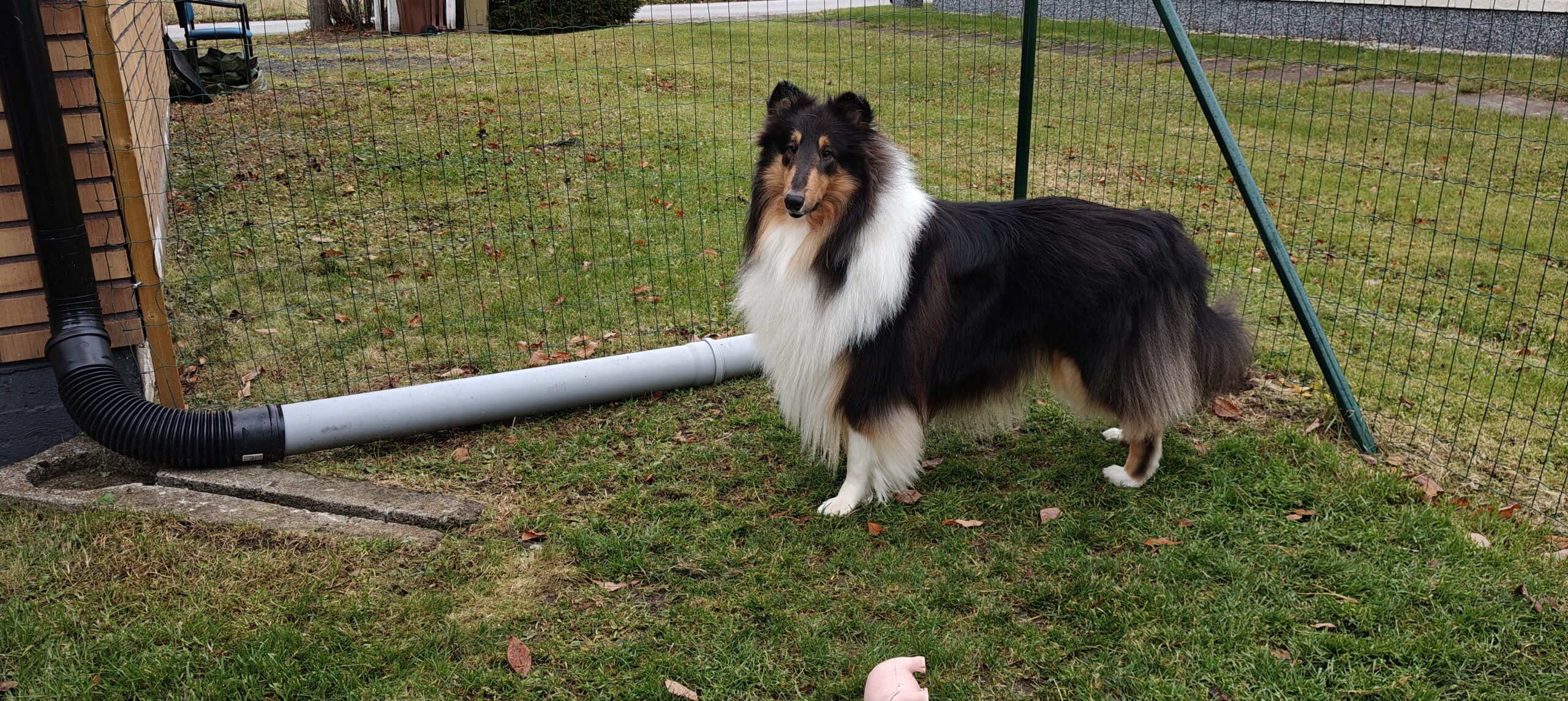 1000002539 63068439fc7868e6075f70aaf6ee568d scaled