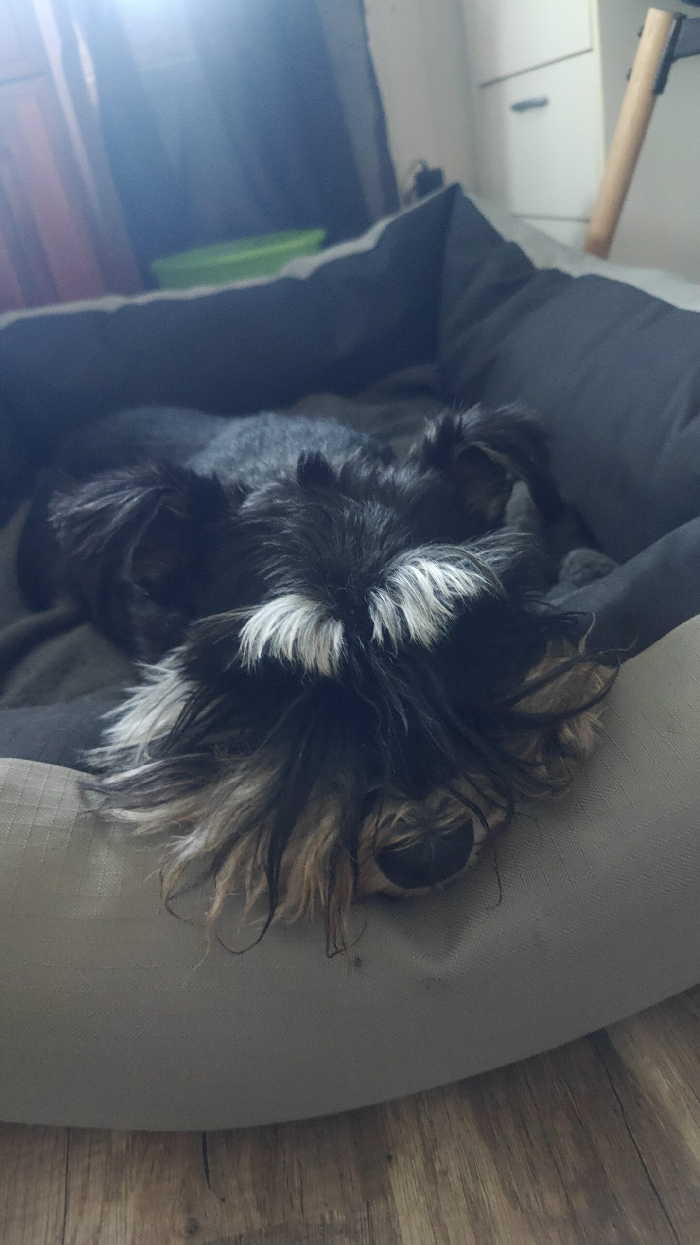 1000009849 9d181d56d889298873a1f5b6c49c367d scaled