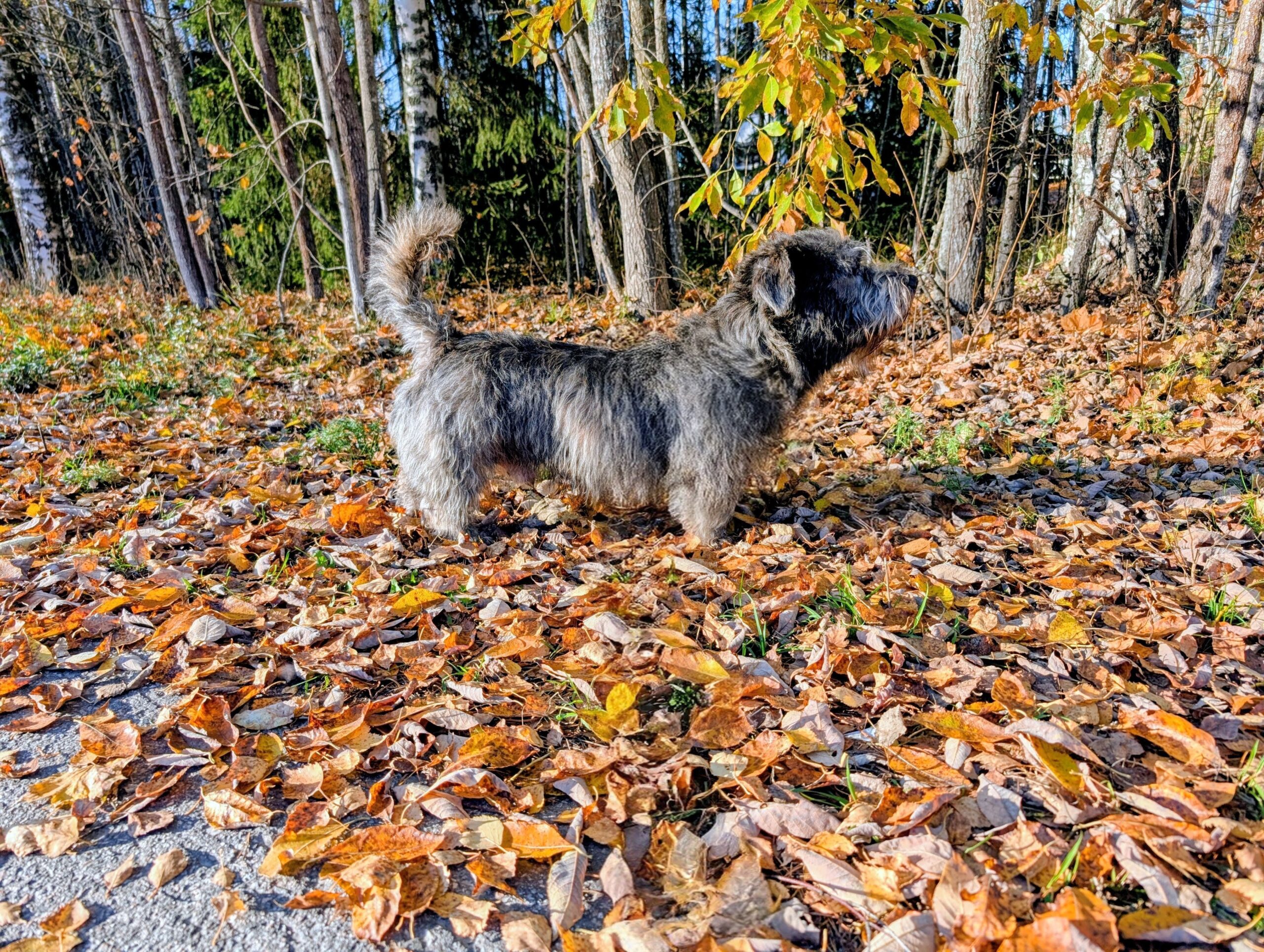 1000022724 3adf1f1442d46557f2acb89933fefc7e scaled