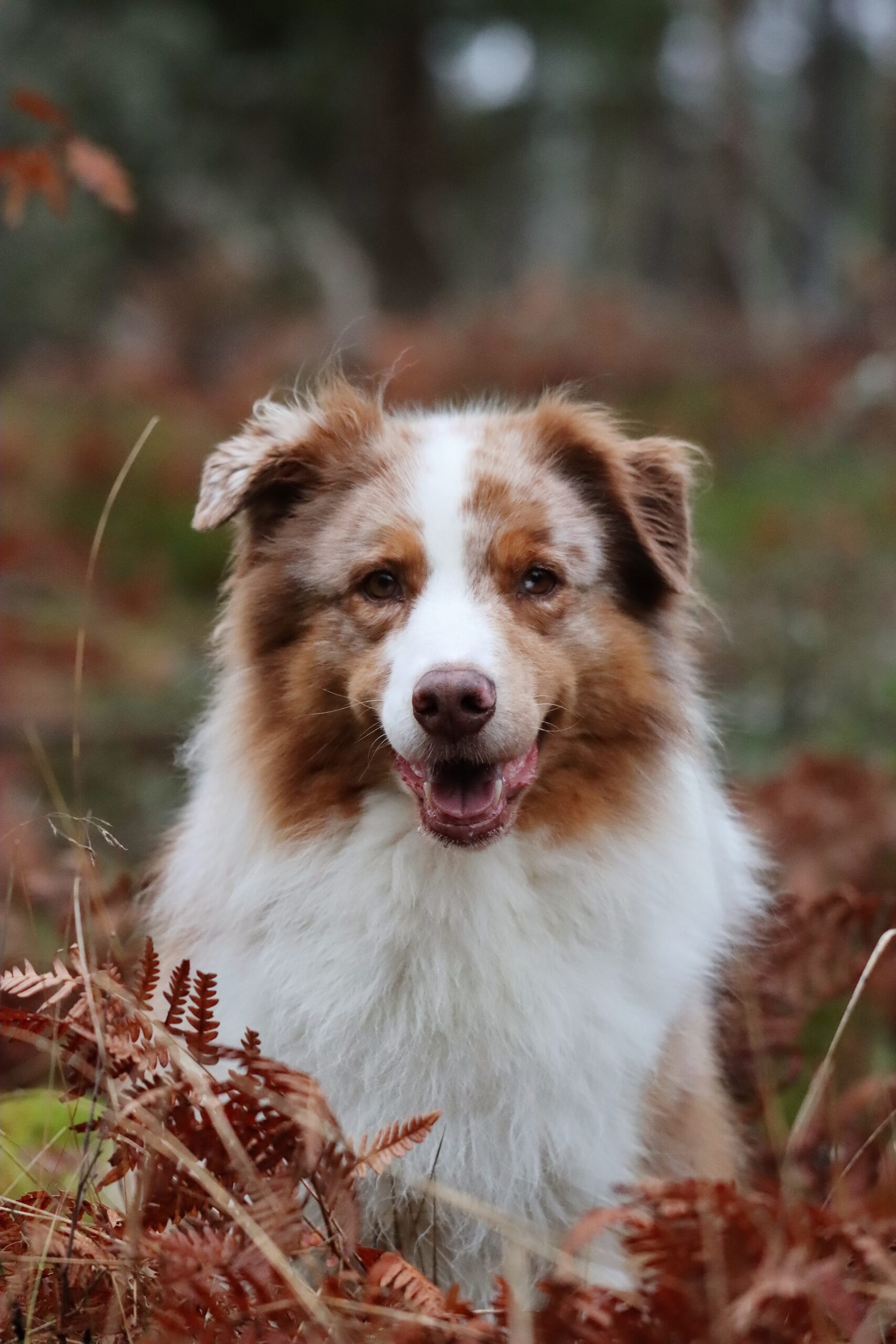 1000033320 cacd536cb24a3c34675311cb5f11c640 scaled