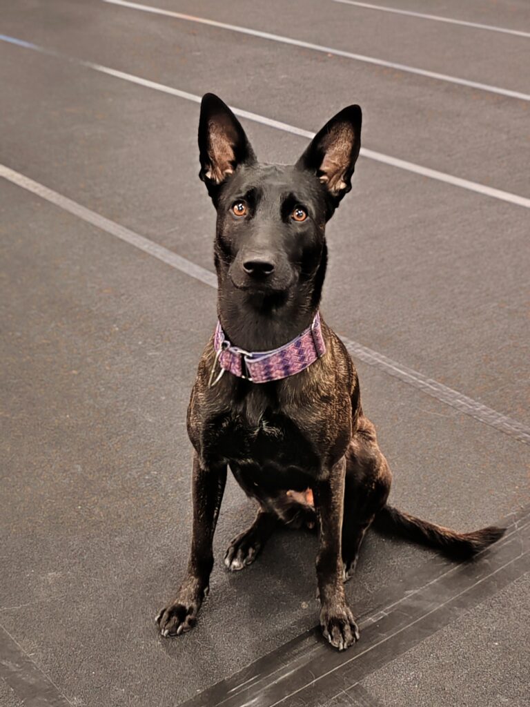 1000049809 c126c3a4a7f6d5b98ed2975ebc87c6ae