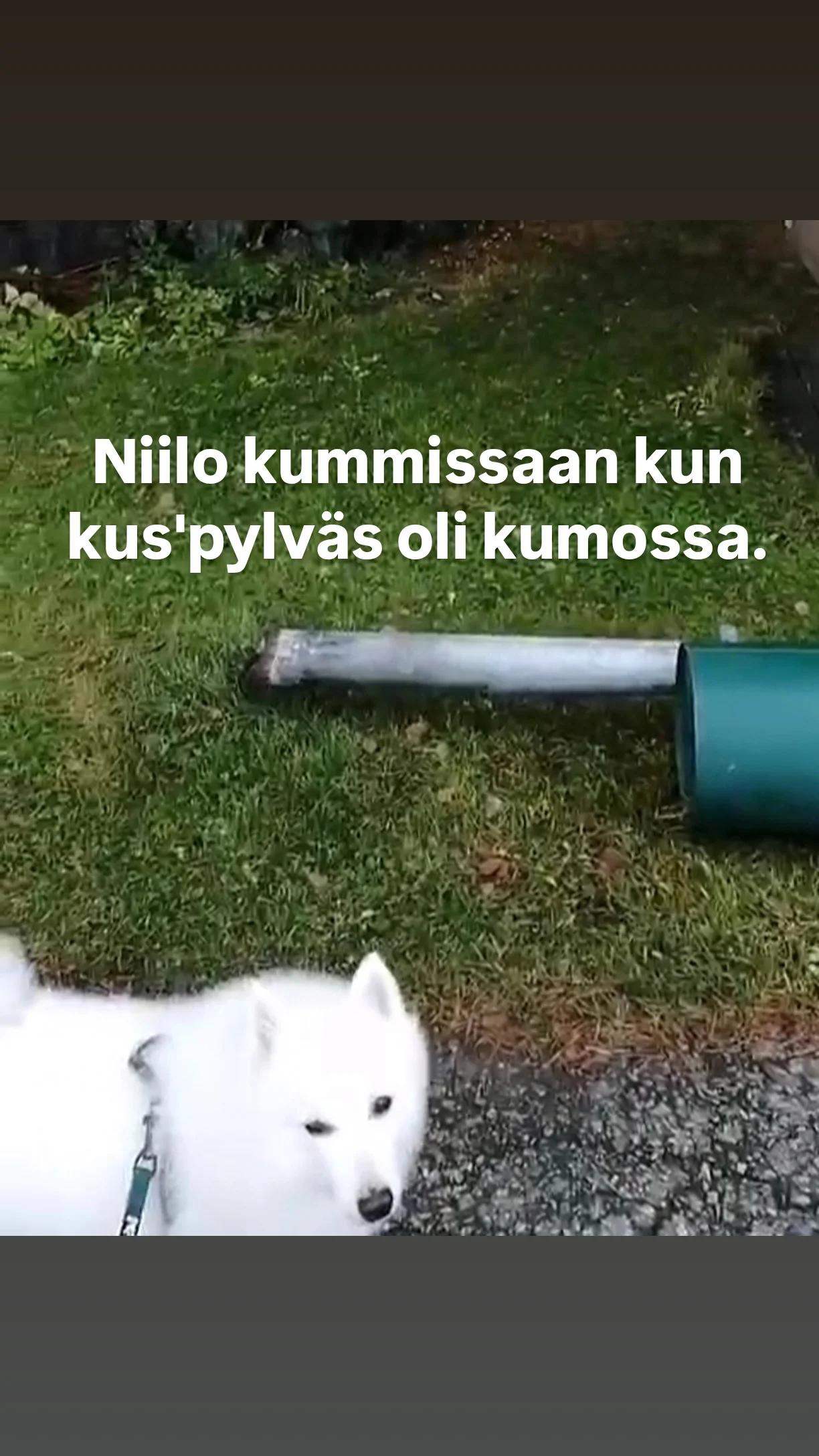 1000062002 86d54a9911c8292c7bbd52aab8bc1849