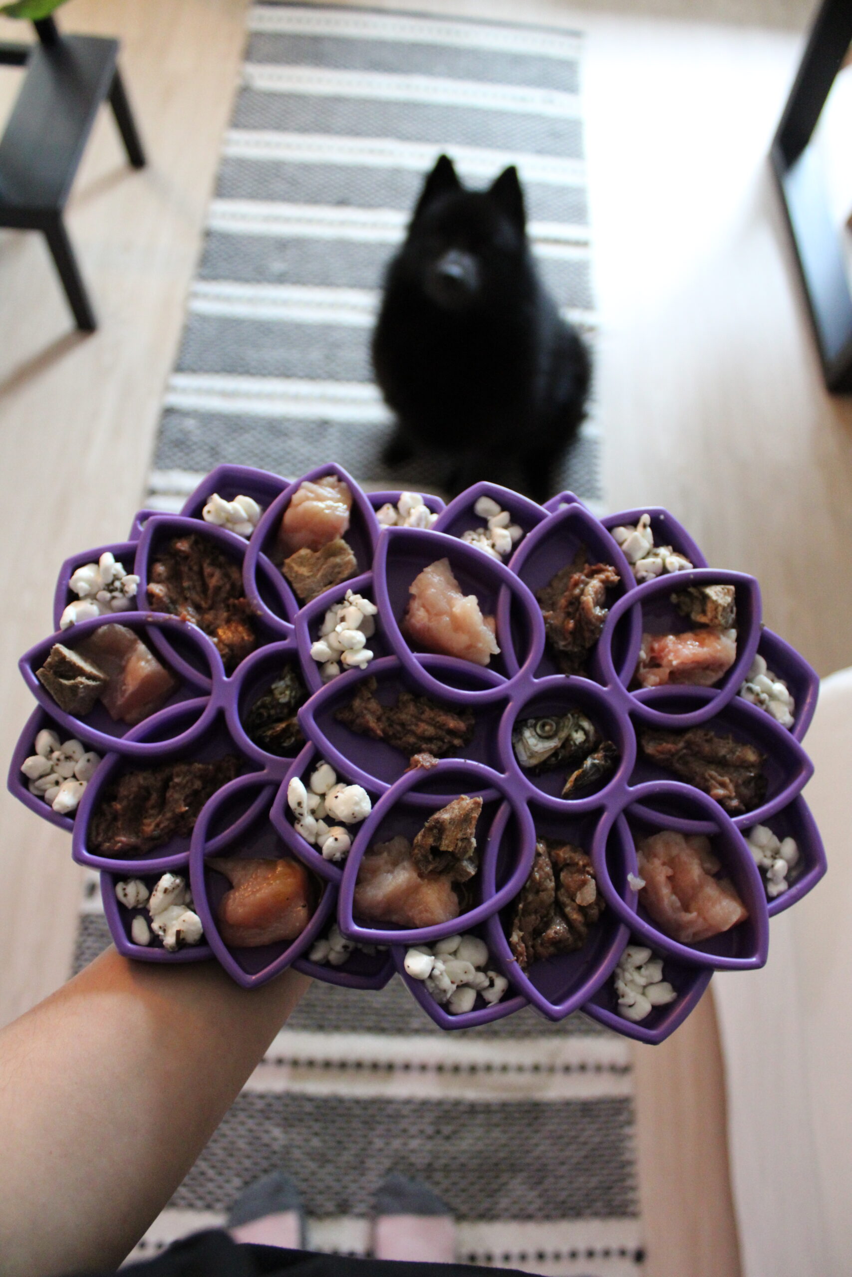 1000136564 12f1fe68362c3735e0c1afdfeaf334b6 scaled