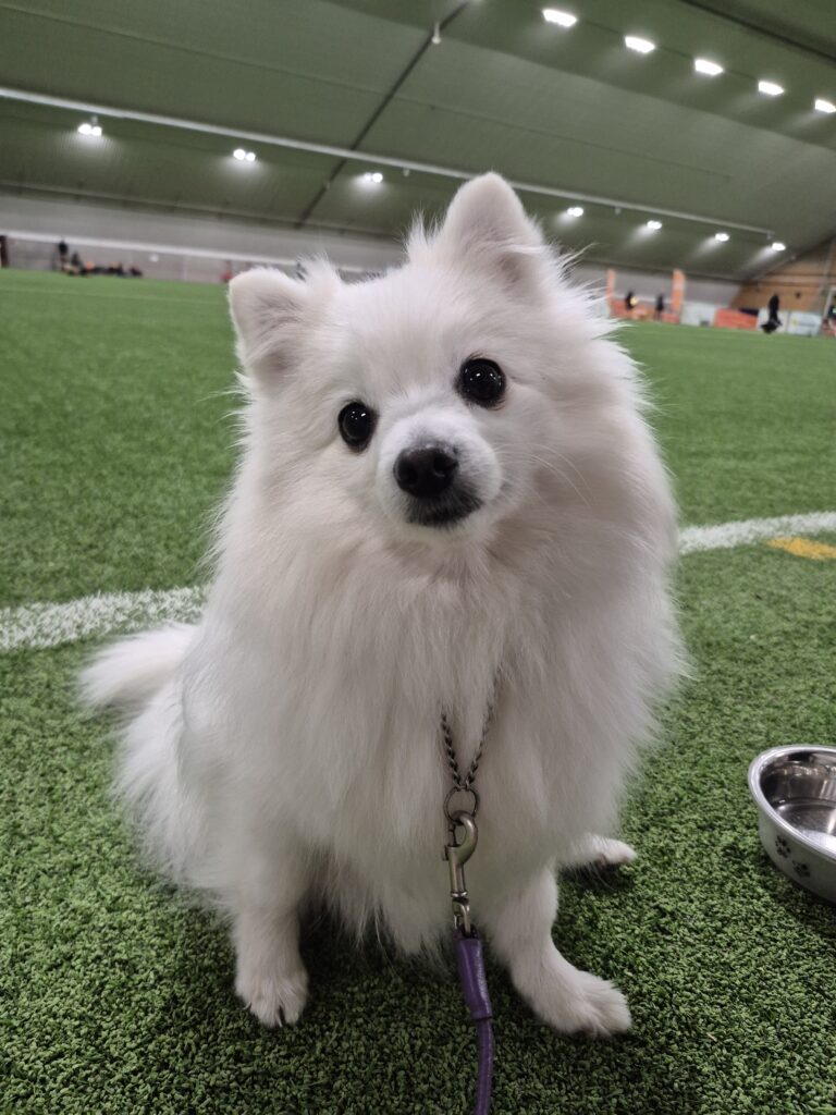 20251123 142813 b58bb9c72ef05cf7d6cd50fc7da25a9a